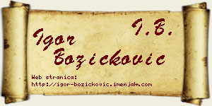 Igor Božičković vizit kartica